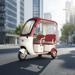 Nuovo Triciclo Elettrico con Riparo Integrato Impermeabile, Potente 800W, <span class=keywords><strong>Bici</strong></span> Elettrica a <span class=keywords><strong>Tre</strong></span> <span class=keywords><strong>Ruote</strong></span> per Famiglia - Vendite Calde - Product Image 1