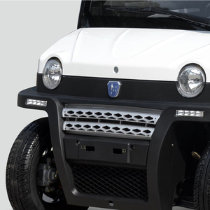 Vehículos Eléctricos de Transporte 2021, Nueva Venta Caliente, <span class=keywords><strong>Motor</strong></span> de 3000w, Vehículos Eléctricos de Carga - Product Image 5