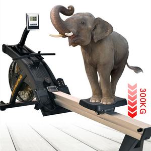 Bodybuilding fitness cardio trainer magnétique <span class=keywords><strong>rameur</strong></span> intérieur entraînement <span class=keywords><strong>exercice</strong></span> gym <span class=keywords><strong>rameur</strong></span> commercial <span class=keywords><strong>rameur</strong></span> <span class=keywords><strong>à</strong></span> <span class=keywords><strong>vendre</strong></span> - Product Image 3