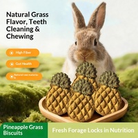 Gâteau à la paille de canne à sucre pour lapin de compagnie, friandise pour hamster, collation pour lapin d'Inde, nourriture sèche naturelle riche en fibres, ingrédients naturels