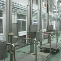Projet clé en main Équipement d'abattoir Abattoir de bovins halal Équipement de ligne d'abattage de bovins de buffle Machinerie