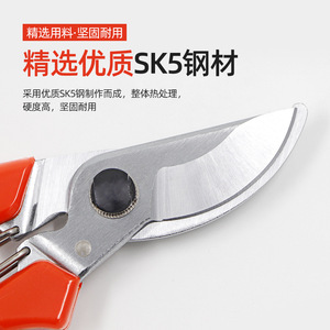 Basil Fruit Tree Pruning Shears Carbon Steel Red 120mm Butterfly Structure Manual Trimming Diameter 20-30mm - Product Image 4