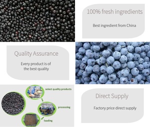 Offre Spéciale : <span class=keywords><strong>Myrtilles</strong></span> IQF Chinoises Certifiées HACCP – Meilleur Rapport Qualité-Prix pour la Transformation Alimentaire - Product Image 3