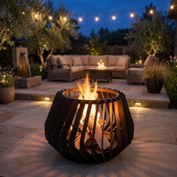 Foyer extérieur moderne de 24 pouces pour bois, avec barbecue intégré, idéal pour le camping et le jardin