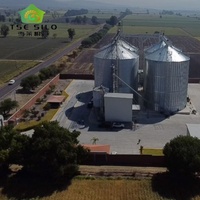 Sistema di Silos per Grano, Mais, Soia e Cereali con Zincatura a Caldo