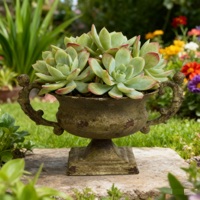 Grand pot de fleurs d'extérieur en fer forgé, style trophée vintage, minimaliste, shabby chic, écologique et durable, pour balcon et jardin