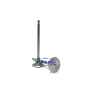 Pour moteur OM366.907 pièces automobiles soupape de moteur A3660500326 A3660500327 - Product Image 1