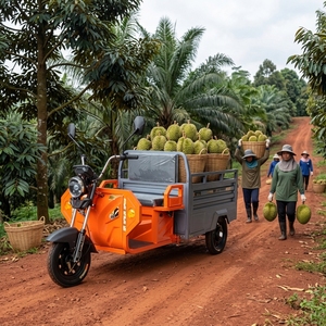 Tricycle électrique pour passagers avec capacité de charge de 400 kg, système DC72V, boîte pliable pour le transport agricole - Product Image 1