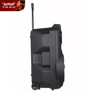 Mới Đến 15 Inch Bên Ngoài Trời Xe Đẩy Tws FM Chất Lượng Cao Có Sạc Nhấp Nháy Ánh Sáng MP3 Không Dây Khuyến Mãi Loa - Product Image 3