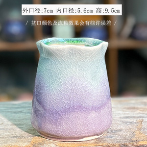 กระถางต้นไม้เซรามิกเนื้อหยาบ ระบายอากาศได้ดี มีหลายขนาด สีไล่ระดับสดใส สำหรับปลูกไม้อีโอเนียม - Product Image 3