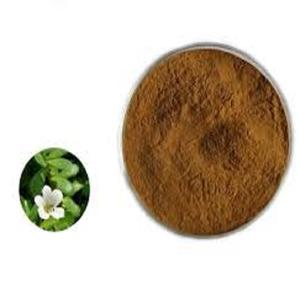 ผงสกัด20% บาโคปาโมนิเอร่าวัตถุดิบเกรดอาหาร - Product Image 2