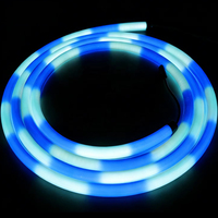 Bande lumineuse LED néon flexible à 360 degrés D22mm, couleur magique, silicone RGB, pour décoration architecturale circulaire