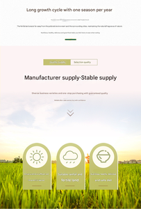 Granola nutritiva lista para comer para adultos, <span class=keywords><strong>avena</strong></span> horneada, crujiente, mezcla de <span class=keywords><strong>avena</strong></span> crujiente, yogur, leche, cereales instantáneos refinados, embalaje en bolsa - Product Image 6