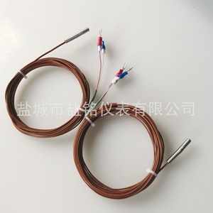 Salt Inscription J Type Thermocouple Temperature Sensor WRF-396 Wire Leads Customizable For Injection Molding Extrusion - Product Image 4
