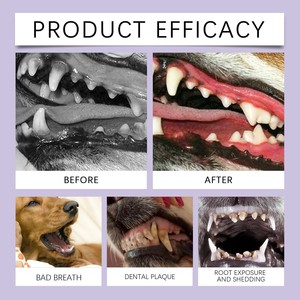 Enjuague Bucal Personalizado <span class=keywords><strong>de</strong></span> Fábrica para Mascotas, Líquido <span class=keywords><strong>de</strong></span> Limpieza Dental para Perros y Gatos, el Mejor Eliminador <span class=keywords><strong>de</strong></span> Placa para Eliminar el Mal Olor Bucal y Controlar el Mal Aliento - Product Image 4