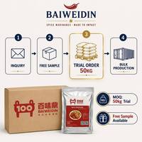 Poudre de marinade épicée 5KG en vrac, poudre de marinade épicée à l'ail pour viande, pour poulet frit/barbecue/marque privée OEM ODM Baiwei Food