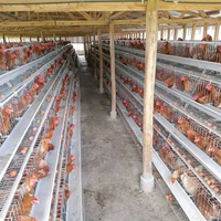 Vente flash Cage à poules pondeuses à étages Prix 96/120/128/160 oiseaux par type 3/4 étages Ferme avicole Poules pondeuses au Pakistan