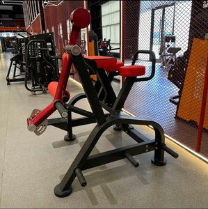 Máquina de Entrenamiento de Fuerza con Placas de Peso para Fisicoculturismo, Equipo de Gimnasio, Hiperextensión Inversa en Venta - Product Image 6