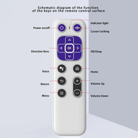 Nouvelle télécommande universelle sans fil 2.4G BT double mode à commande vocale Air Mouse pour décodeur TV et projecteur, en ABS, fournie directement par l'usine