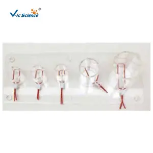 Deep tension knotting skill training model medical oxygen cylinder sizes one-hand knot method two-hand knot method