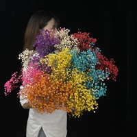 Fabrieksgroothandel Gedroogde Baby's Breath, 20+ Kleuren Gemengd Real Touch Droge Gypsophila Bloemen 120g Bruiloft, Pasen Feestdecoratie