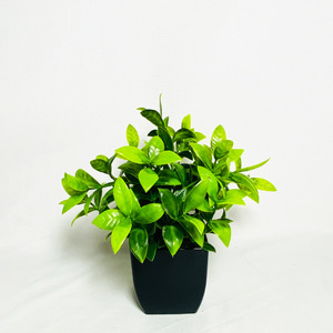 Venta caliente Artificial Verde <span class=keywords><strong>Interior</strong></span> Decoraciones al aire libre <span class=keywords><strong>Plantas</strong></span> <span class=keywords><strong>de</strong></span> plástico <span class=keywords><strong>Plantas</strong></span> en maceta Planta artificial <span class=keywords><strong>con</strong></span> maceta - Product Image 2