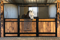 Box de manège portable robuste en bois et métal, résistant à l'eau, avec porte coulissante, pour chevaux