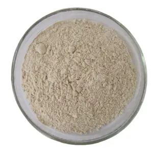 GMP standard High Quality Natural Almond Milk Powder Almond Flour Almond Powder