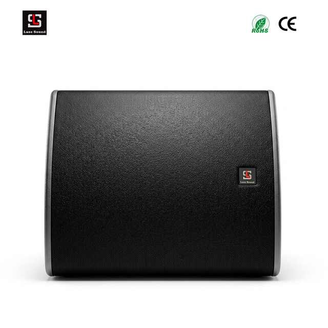 Professional Audio PA Speaker 12 Inch 450W Coaxial Neodymium Sound System for Outdoor Events Live Stage Monitor Club LS-X12