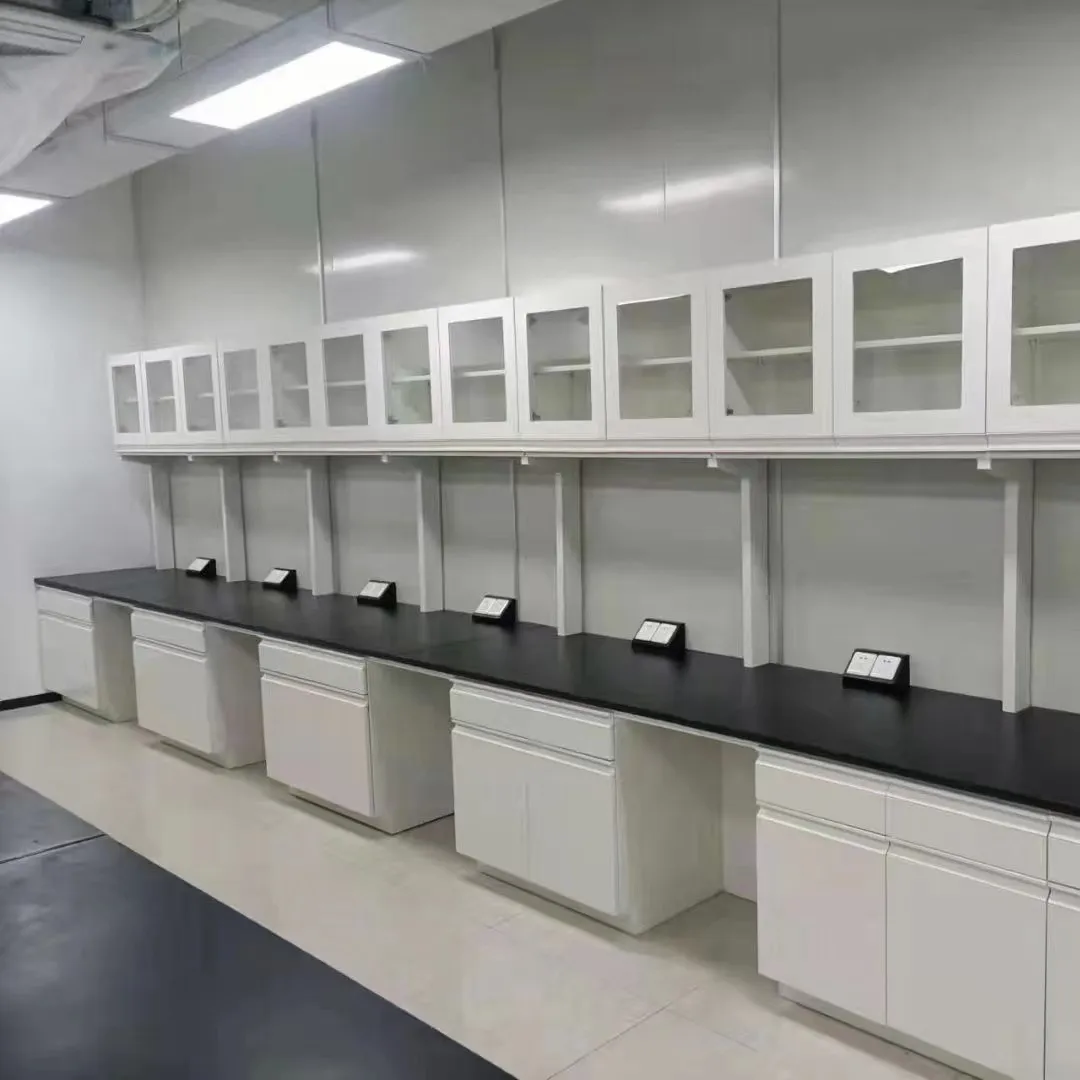 Functional Versatile Guangdong Laboratory Furniture for Lab Bench Table for General Labs