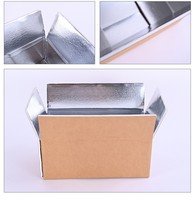 Boîtes d'expédition isothermes personnalisées en carton kraft pour viande, légumes et aliments pour animaux