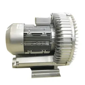 Good Reputation Easy Maintenance Electrical Air Ring Blower for circuit boards,plating parts,film drying