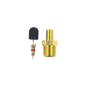 Noyau de valve de pneu automobile, tige de valve filetée sans chambre à air pour moto, tige de valve en cuivre 1/4 NPT pour surveillance de la pression des pneus - Product Image 5