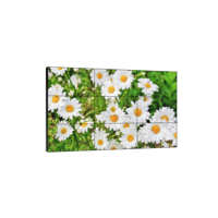 55 pouces Ultra Slim 4K intérieur mur vidéo LCD panneau avec animation et affichage de bienvenue pour Subway Retail & Education-fournisseur OEM