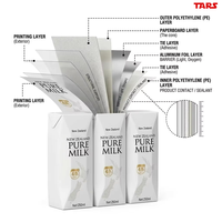 Boîte en carton aséptique Prisma 250 ml avec couvercle à pignon pour liquides, emballage personnalisé pour lait, thé, jus et boissons, finition mate