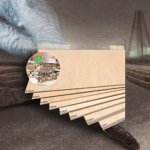 Corte láser de alta calidad DNY <span class=keywords><strong>abedul</strong></span>/Álamo/nogal/madera contrachapada de tilo estilo de diseño europeo E0 disponible 2mm 3mm 4mm 5mm 6mm 9mm - Product Image 3