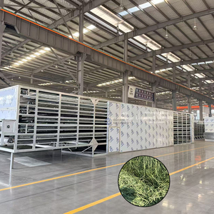 Máquina de Secado Continuo de Forraje con Cinta de Malla, Secadora de Cinta de Malla para Trébol - Product Image 1