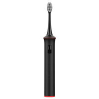 Brosse à dents sonique sans fil pour adultes Risuntech T2401, modèle rechargeable de haute qualité, prise en charge de la personnalisation du logo de marque OEM