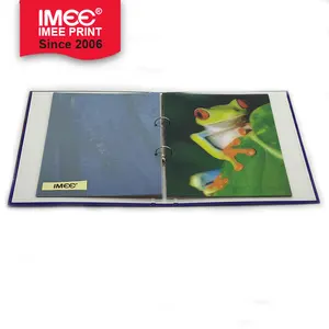 IMEE en iyi satış (BV sertifikasyon ana ürün) Manila kağıt kurulu sfero Bristol kağıt tahtası dosya klasörleri
