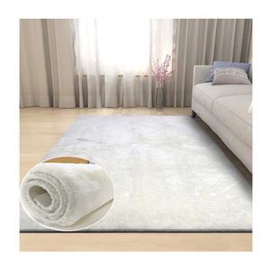<span class=keywords><strong>Tapis</strong></span> Shaggy personnalisé, <span class=keywords><strong>d</strong></span>écoration de chevet, pour la maison, absorbant l'<span class=keywords><strong>eau</strong></span>, en Polyester, blanc uni, grand <span class=keywords><strong>tapis</strong></span> à la mode, 20MM, offre spéciale - Product Image 1