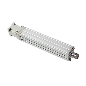 Module linéaire de vérin électrique à tige de piston standard japonais Fsp16, 40-300 mm, origine Shenzhen - Product Image 2
