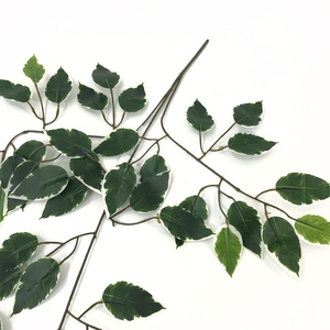 Foglie artificiali <span class=keywords><strong>di</strong></span> seta <span class=keywords><strong>di</strong></span> <span class=keywords><strong>pioppo</strong></span> <span class=keywords><strong>di</strong></span> alta qualità per la decorazione <span class=keywords><strong>di</strong></span> eventi all'aperto stile <span class=keywords><strong>di</strong></span> Design verde per la visualizzazione della parete del ringraziamento - Product Image 5