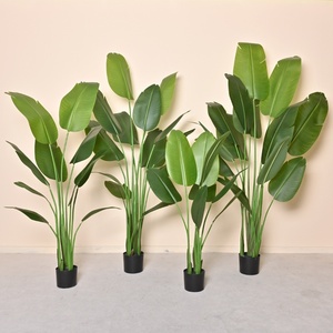 Suministros <span class=keywords><strong>de</strong></span> jardín Paisaje grande Árbol Verde Viajero Plátano Tortuga-Respaldo <span class=keywords><strong>Pino</strong></span> Simulación Casa verde natural Oficina - Product Image 5