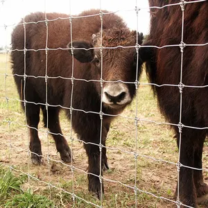 Heavy duty cheap farm fence material goat fence for sale