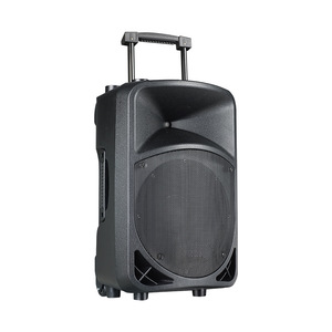BS515DSP 15inch 120W neodymium 16 DSP effecttor partybox Portable speakerwith MP3 Bluetooth for outdoor party wedding - Product Image 1