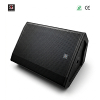 Altavoz de Monitor de Escenario Pasivo Coaxial LS-NX15-P de 15 Pulgadas, 1000 W, Sonido Profesional, Altavoz PA para DJ, Discoteca, Eventos en Vivo, Conciertos