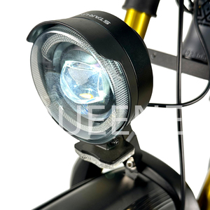 Offre Spéciale longue portée 20 "1000 watts moteur à grande vitesse montagne E Bike neige vélo électrique avec sièges enfant - Product Image 3