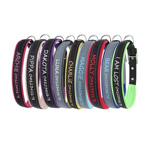 Collare per Cani di Alta Qualità, Lussuoso, Morbido e Resistente, con Logo Ricamato Personalizzato, Nome e Numero, Nastri Solidi e Fibbia in Nylon - Product Image 3