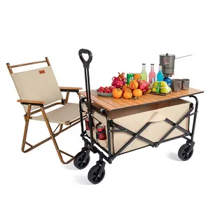 Tongshunfa In Stock Usa Hot Sell Mini Camping Trolley Folding Wagon Carts Foldable Outdoor Utility Wagon