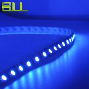 12v Led Strip 24V 5050RGBW 60LED 12mm PCB Flexible LED Strip Light With Smart Control For Hotel Ceilling Decoration